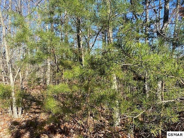 1st image of 40 Ridgeview Dr Lot 40