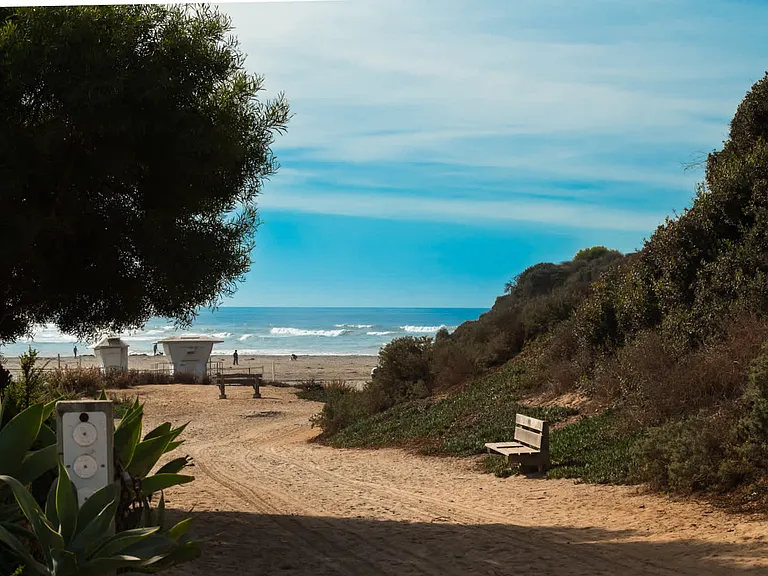 Dog Beach Entrance