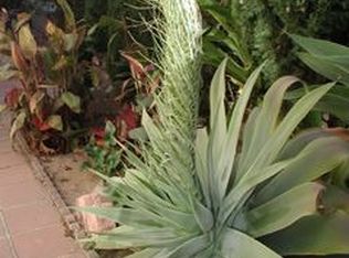 2414 Grapevine Dr, Oxnard, CA 93036