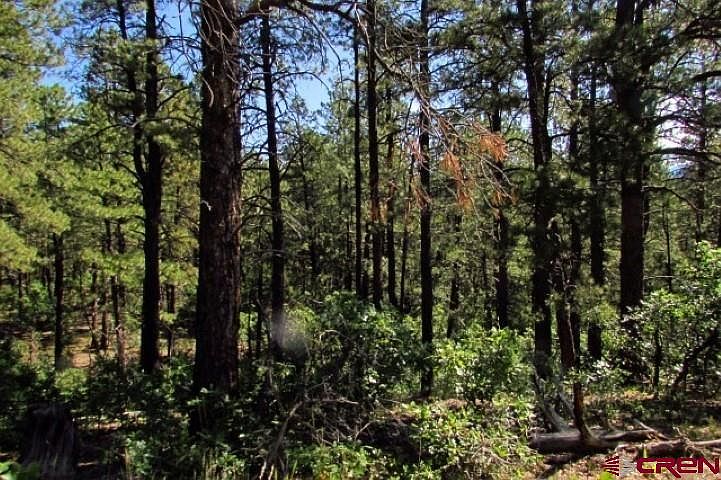 1st image of 115 S Squaw Canyon Place