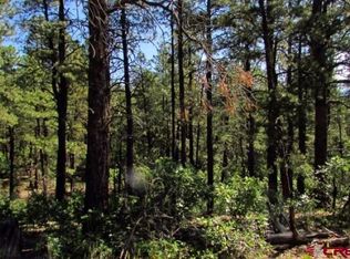 115 S Squaw Canyon Pl, Pagosa Springs, CO 81147