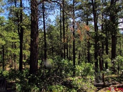 115 S Squaw Canyon Place, Pagosa Springs, CO, 81147