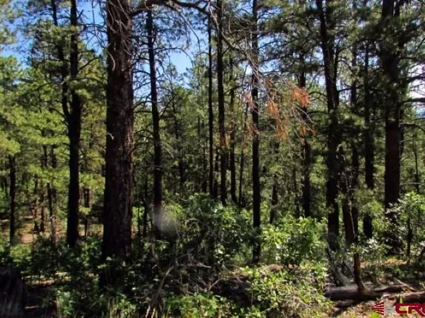 115 S Squaw Canyon Place, Pagosa Springs, CO 81147