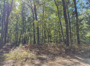 0 W Orchard Lake Dr, Baldwin, MI 49304