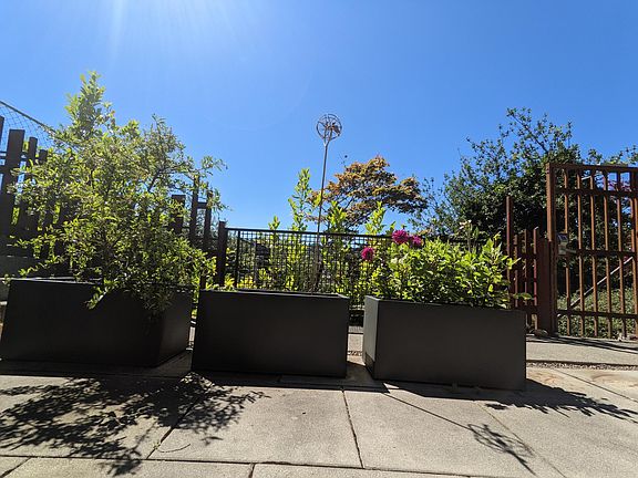 Planter boxes on terrace, for use by tenant. Plant some fresh veggies or gorgeous flowers!
