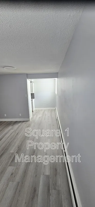 2 bed, 1.0 bath, $1,700 — Photo 3