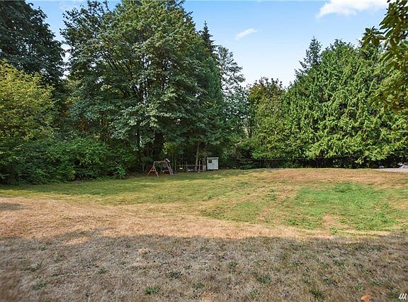large, open back yard