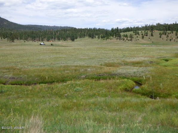 LOT-24A The Rnch #AT, Alpine, AZ 85920