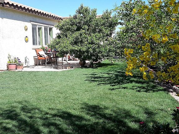 mature landscaping
