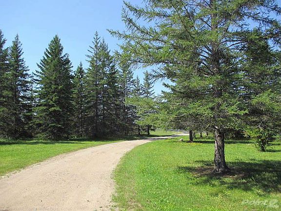 Shipley Driveway 1