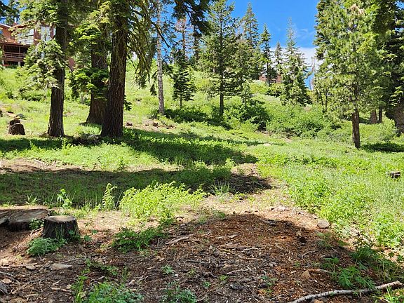 3rd image of 350 Snowshoe Rd