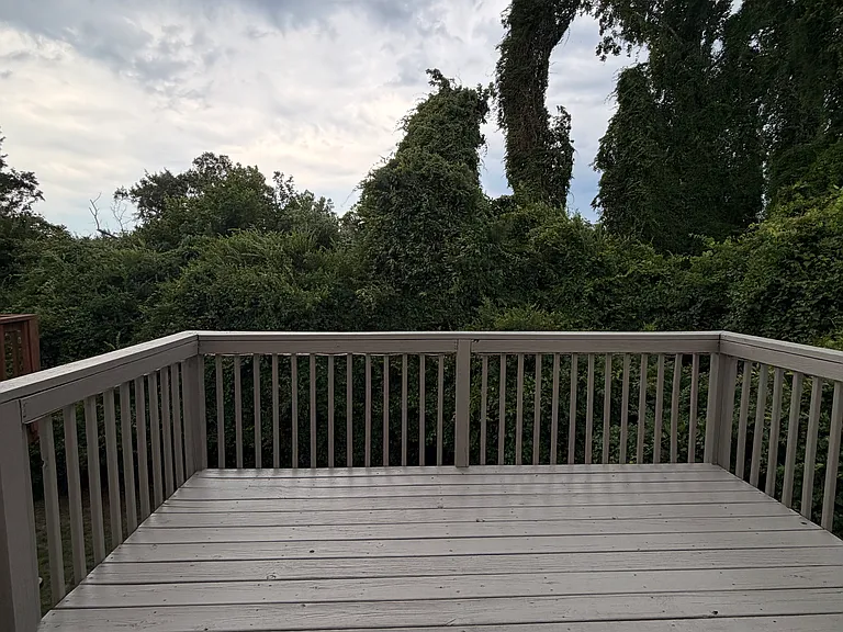 5413 Big Bass Dr — Photo 16