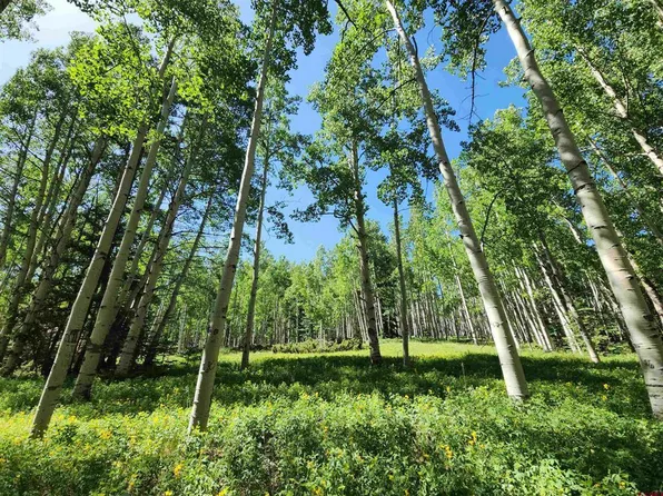 Lots 1-3 6th Street, Jasper, CO 81144