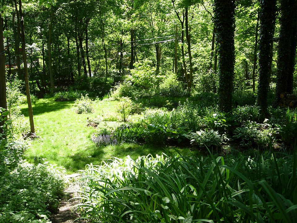 View from the back deck