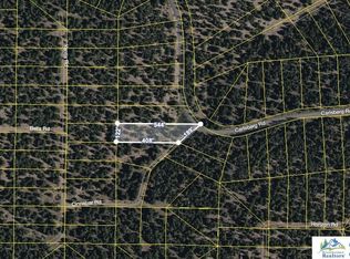 037-511-001 Parlite Rd, Alturas, CA 96101