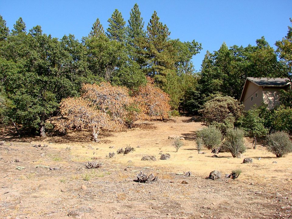 1st image of 945 Dogwood Dr
