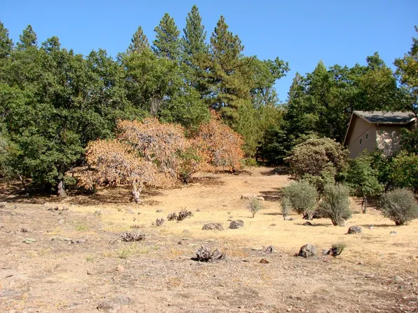 945 Dogwood Dr, Murphys, CA 95247