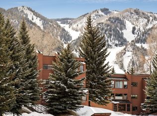 1041 Vine St #1041, Aspen, CO 81611