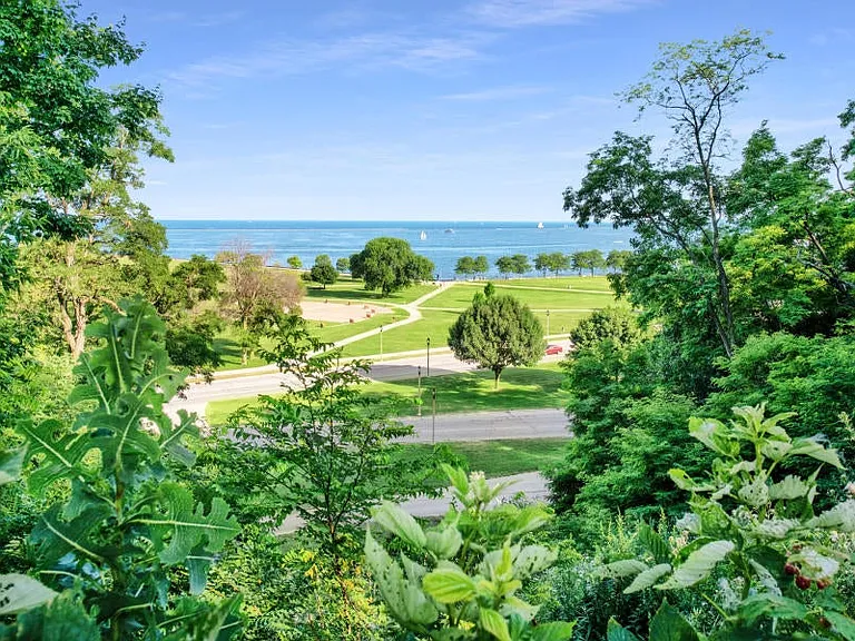 Lake Views