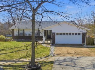 7009 Orchard Meadows Ct, Saint Louis, MO 63129