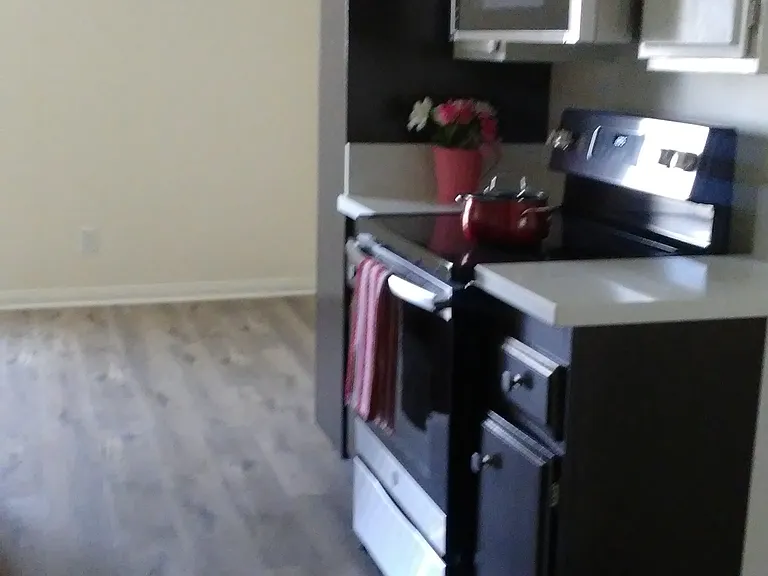 Kitchen with stove, built in microwave and dishwasher.