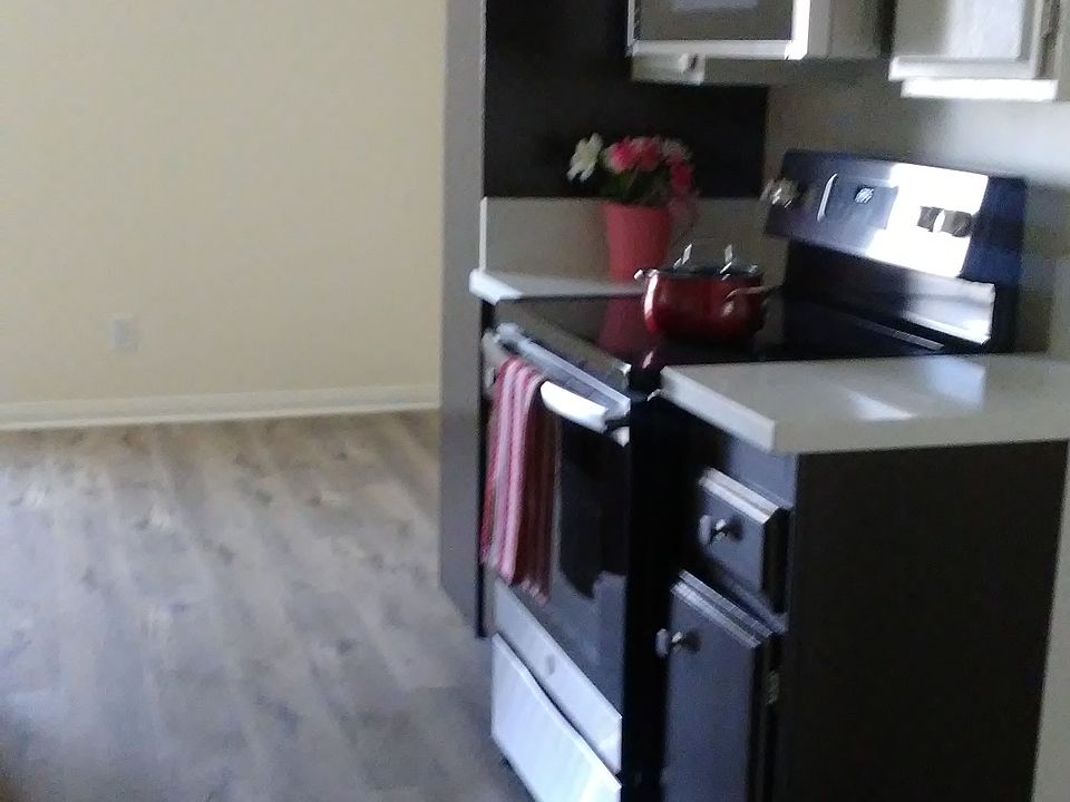 Kitchen with stove, built in microwave and dishwasher.