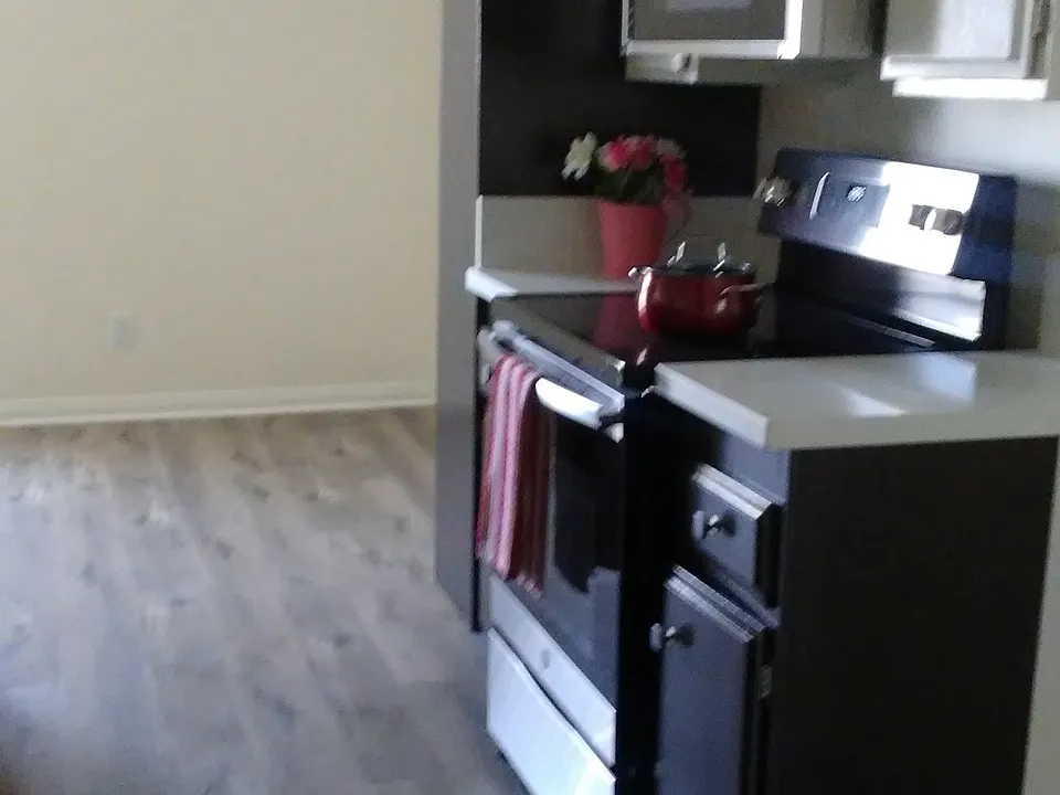 Kitchen with stove, built in microwave and dishwasher.