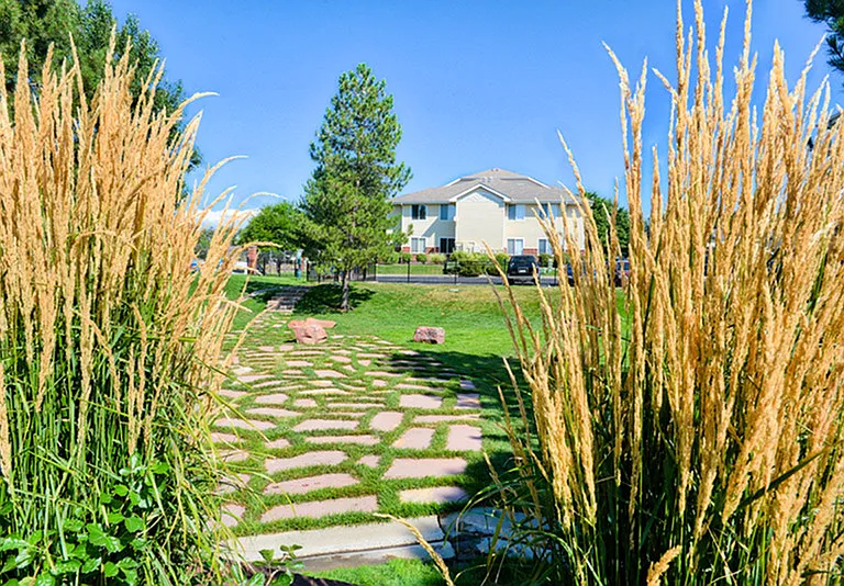Off-Leash Dog Park