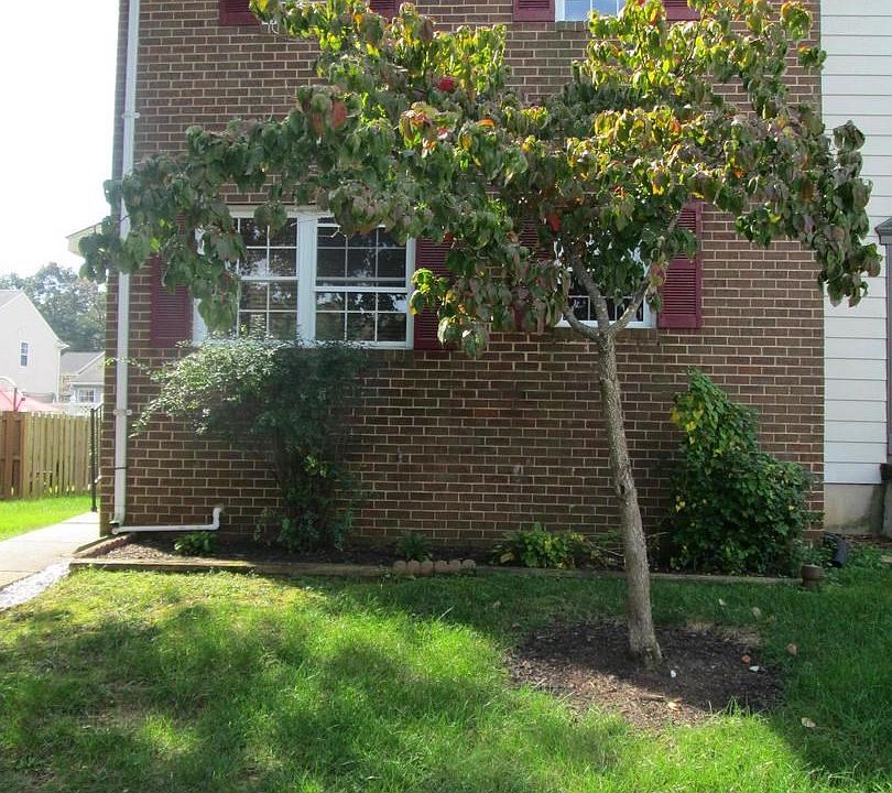 1st image of 264 Rebecca Ann Ct
