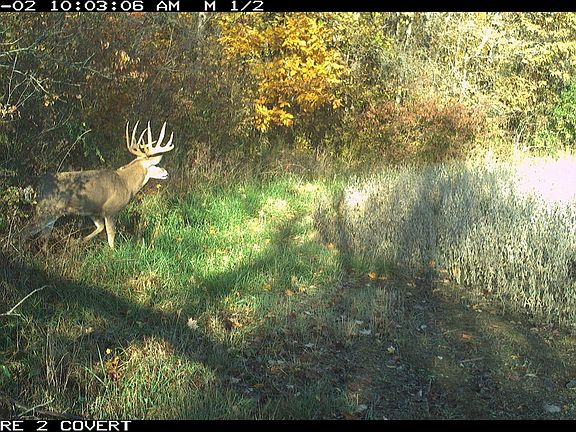 2nd image of Vl North Cres E #800