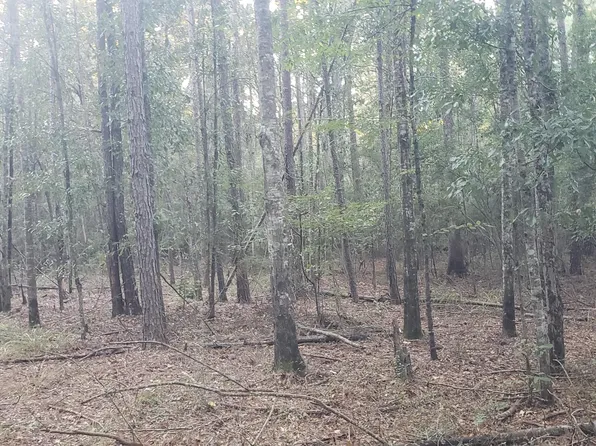Alden Ln, Summit, MS 39666