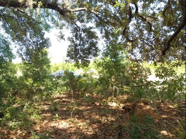 304 RIDGE Road, Satsuma, FL 32189