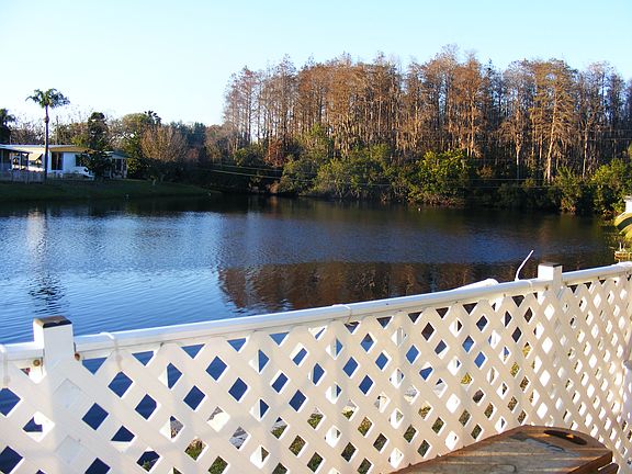 4th image of 39248 Us Hwy 19 N Lot 139