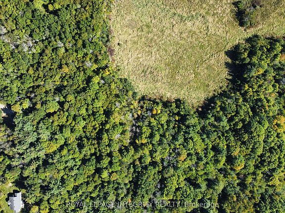 2nd image of 229 Norris Rd
