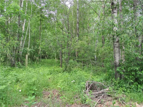 Lot 24 Bayfield CT Court, Birchwood, WI 54817