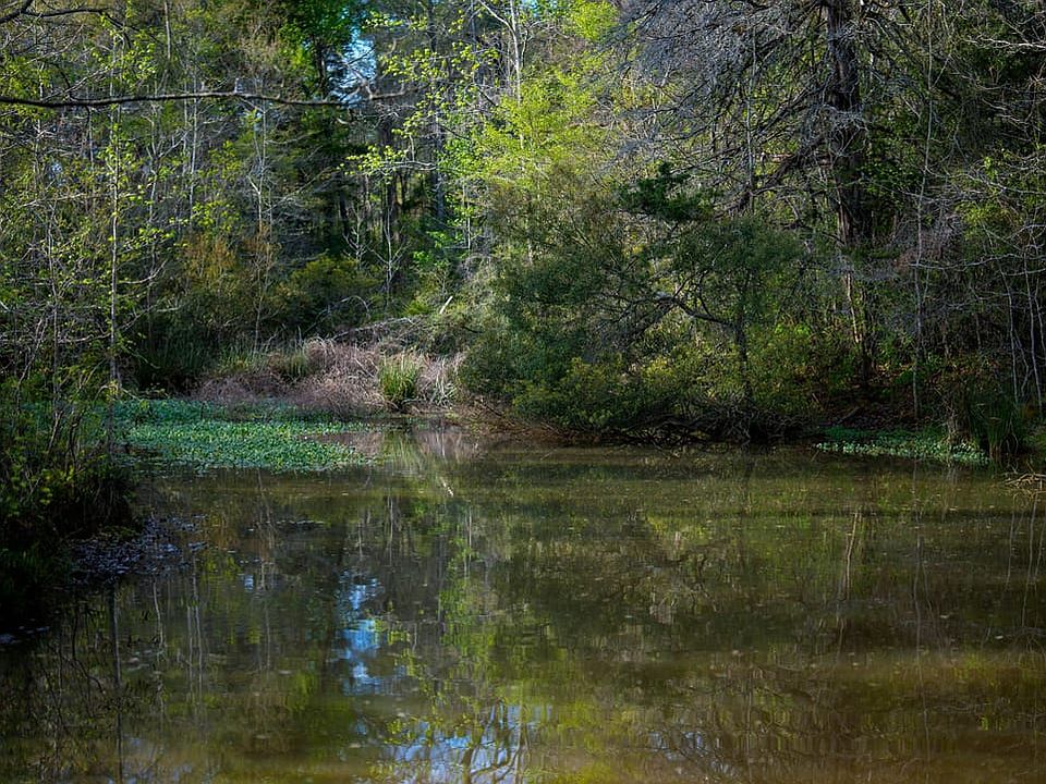 Nelson Ranch 663 Acre Ranch For Sale Houston County Image 1