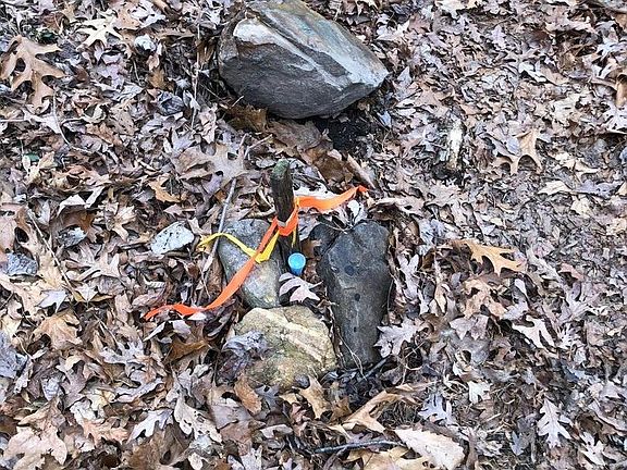 5th image of Crystal Falls Dr