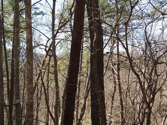 4th image of 0 Shady Gap Way Lot 29