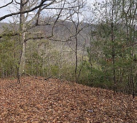 4th image of 0 Johns Creek Sampler Dr