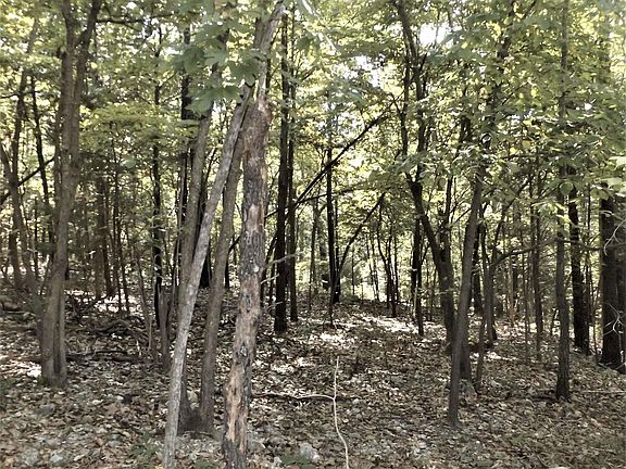 2nd image of 110 County Road 1418