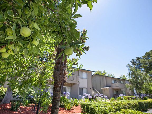 5th image of 831 Gale Dr APT 36
