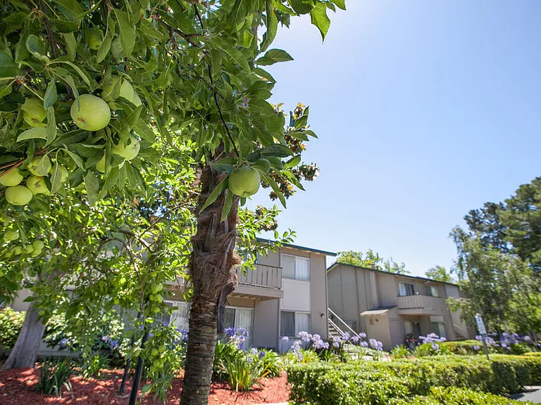 Campbell West Apartments — Photo 5