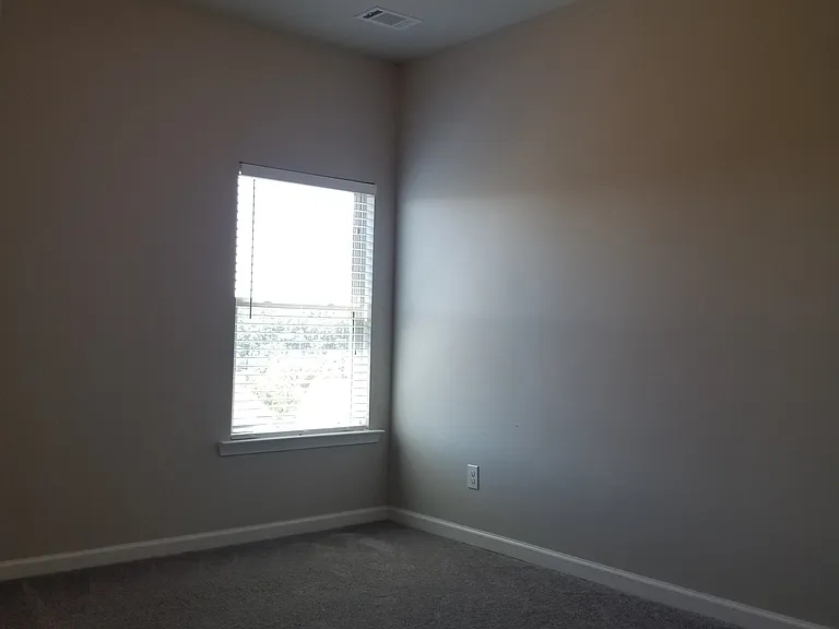 1519 Charcoal Ives Rd — Photo 14