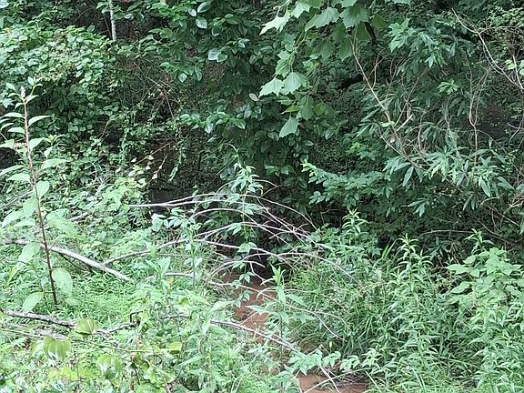 3rd image of 0 N Pleasant Oak Dr