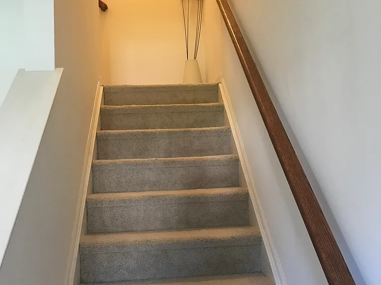 4530 Wild Orchid Ln — Photo 16