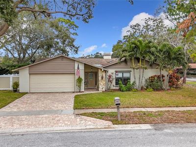 3005 Enisglen Dr, Palm Harbor, FL, 34683