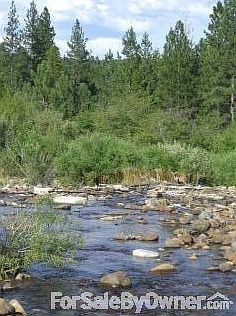 Eddy Creek
						:
						Eddy Creek runs throught the property. Water rights are included.