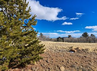 560 Raven Way, Como, CO 80432