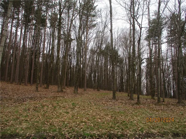 72 Dodd Rd Lot 5, Windsor, NY 13865