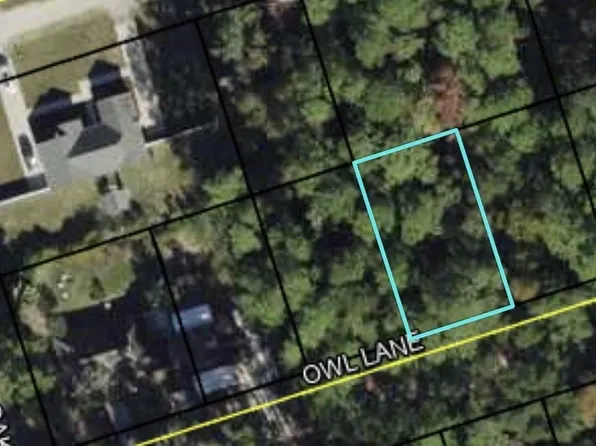 57 Owl Ln, Crawfordville, FL 32327